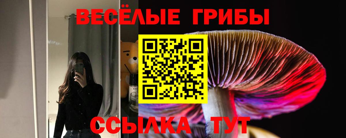 Псилоцибиновые грибы мухоморы  Вход с VPN  где купить наркоту  Сыктывкар  Псилоцибиновые грибы Magic Shrooms 